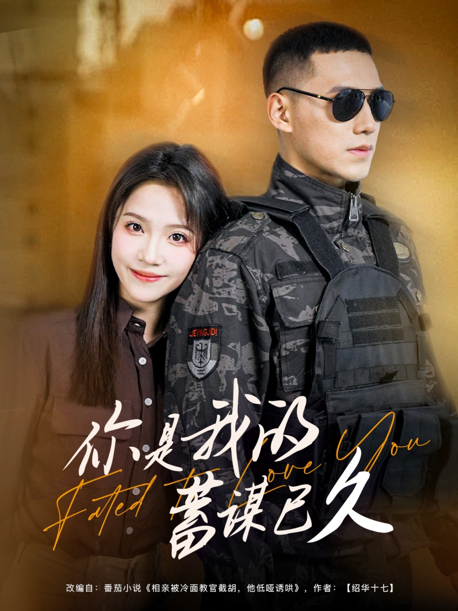 你是我的蓄谋已久(全集)