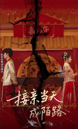 接亲当天成陌路(全集)