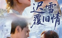 迟雪覆旧情(全集)